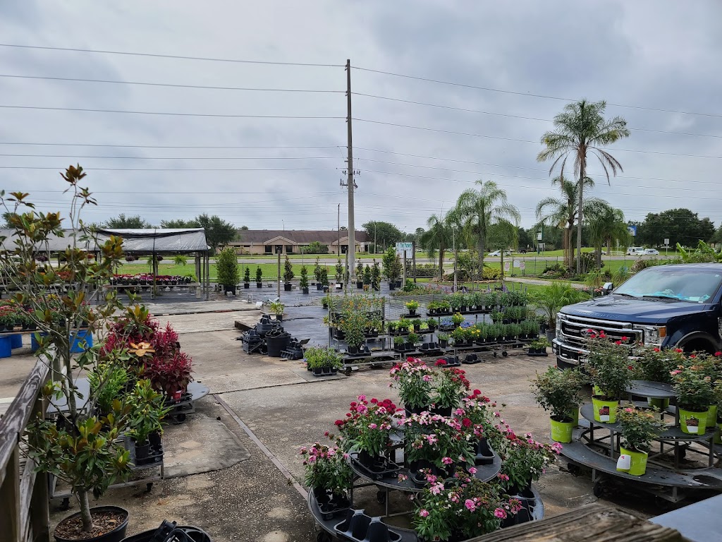 Nursery Landscape & Garden Center | 5955 Florida Ave S, Lakeland, FL 33813, USA | Phone: (863) 644-7331