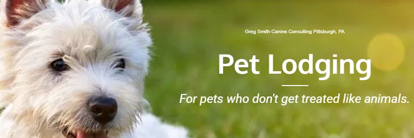 Greg Smith Canine Consulting | 1593 Mercer Grove City Rd, Mercer, PA 16137, United States | Phone: (412) 977-7307