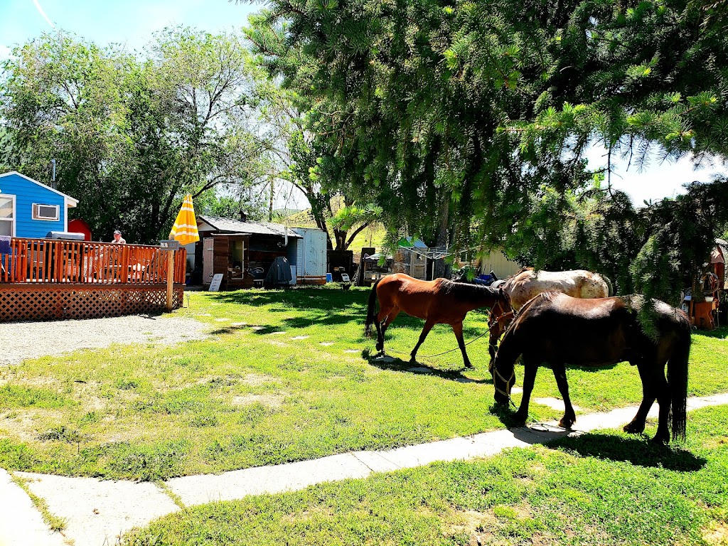 Idaho Guest Ranch-Lazy R Ranch | 702 Dry Buck Vly Rd, Banks, ID 83602 | Phone: (208) 584-3100