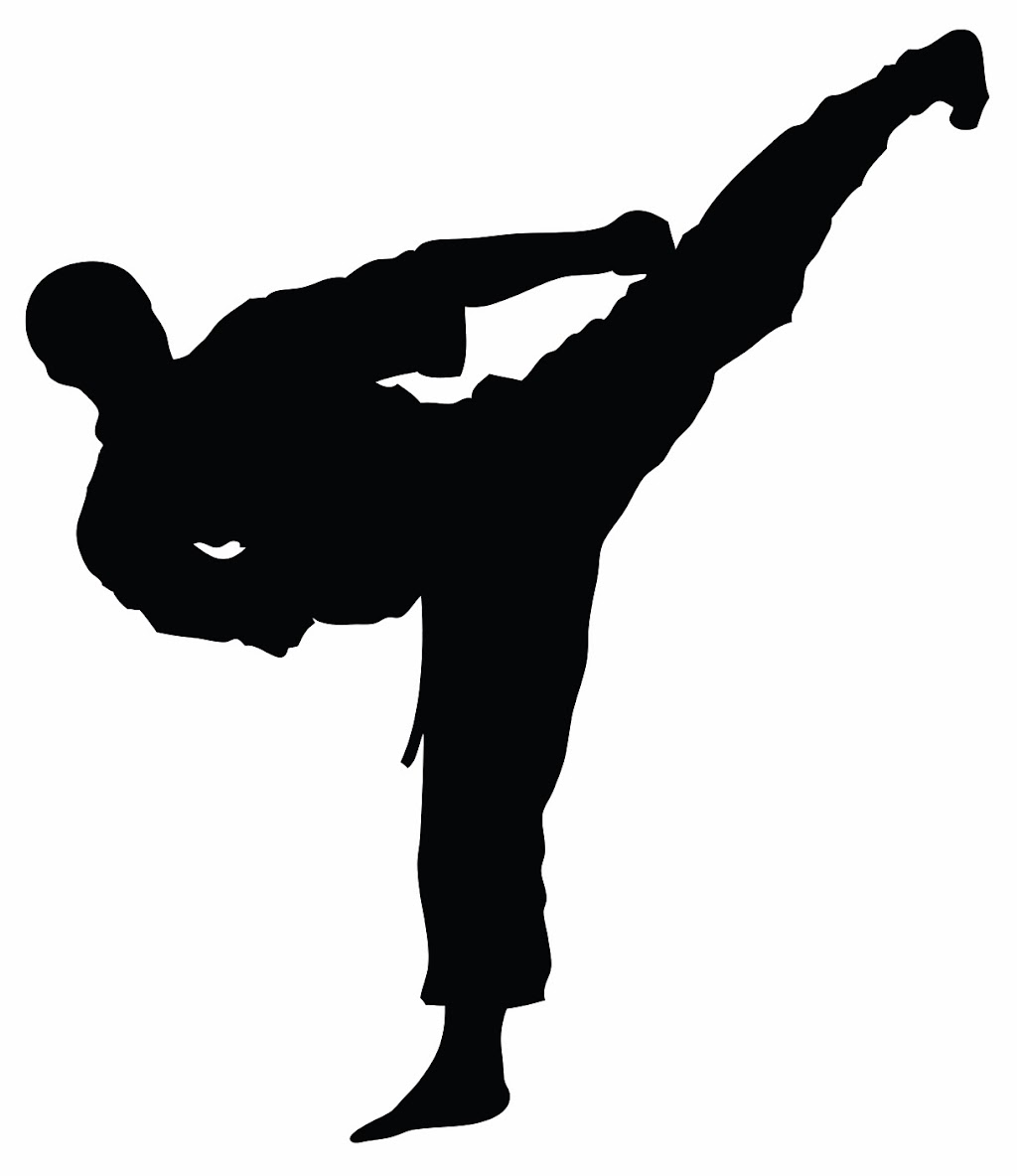 Progressive Taekwondo Academy | 702 Laura Duncan Rd, Apex, NC 27502, USA | Phone: (919) 589-4200