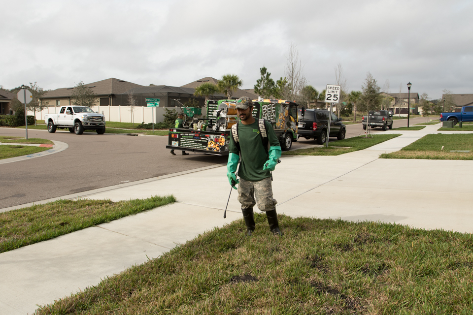 Bee Green Pest Control | 8635 US-301, Riverview, FL 33578, USA | Phone: (813) 661-9300