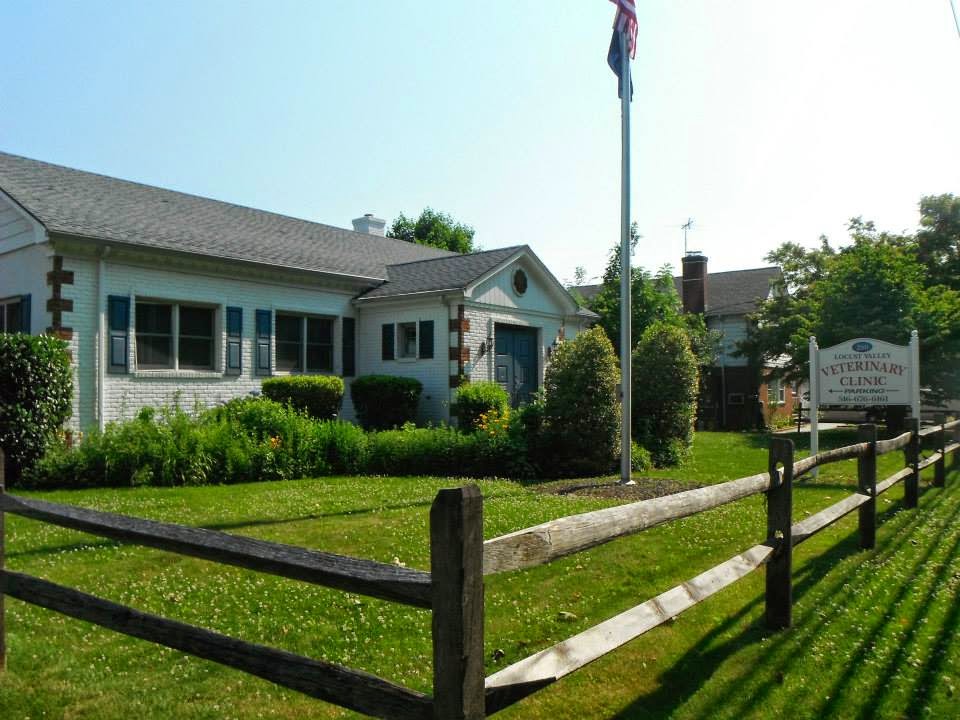 Locust Valley Veterinary Clinic | 280 Forest Ave, Locust Valley, NY 11560, USA | Phone: (516) 676-6161