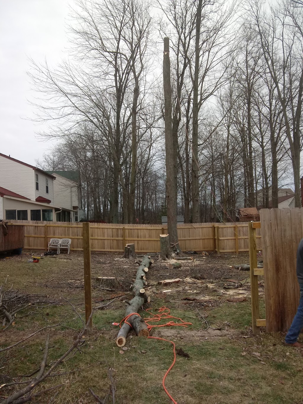 Arboriculture Prestige Tree Experts | 101 Rose St, Magnetic Springs, OH 43036, USA | Phone: (614) 571-3424