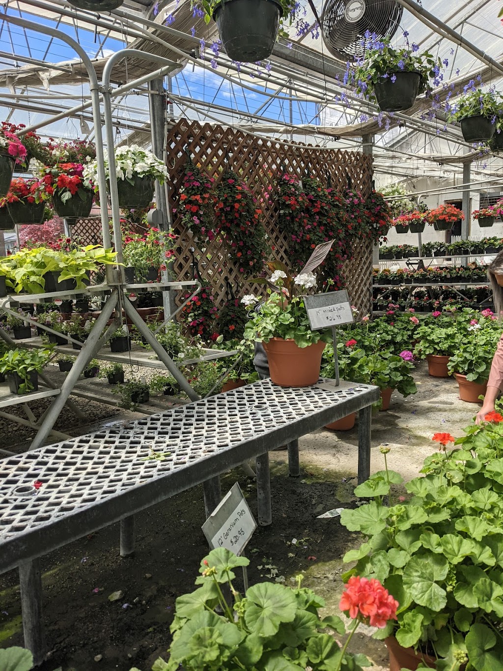 Beckers Florist & Greenhouse | 6 Mulberry St, Cambridge City, IN 47327, USA | Phone: (765) 478-3421