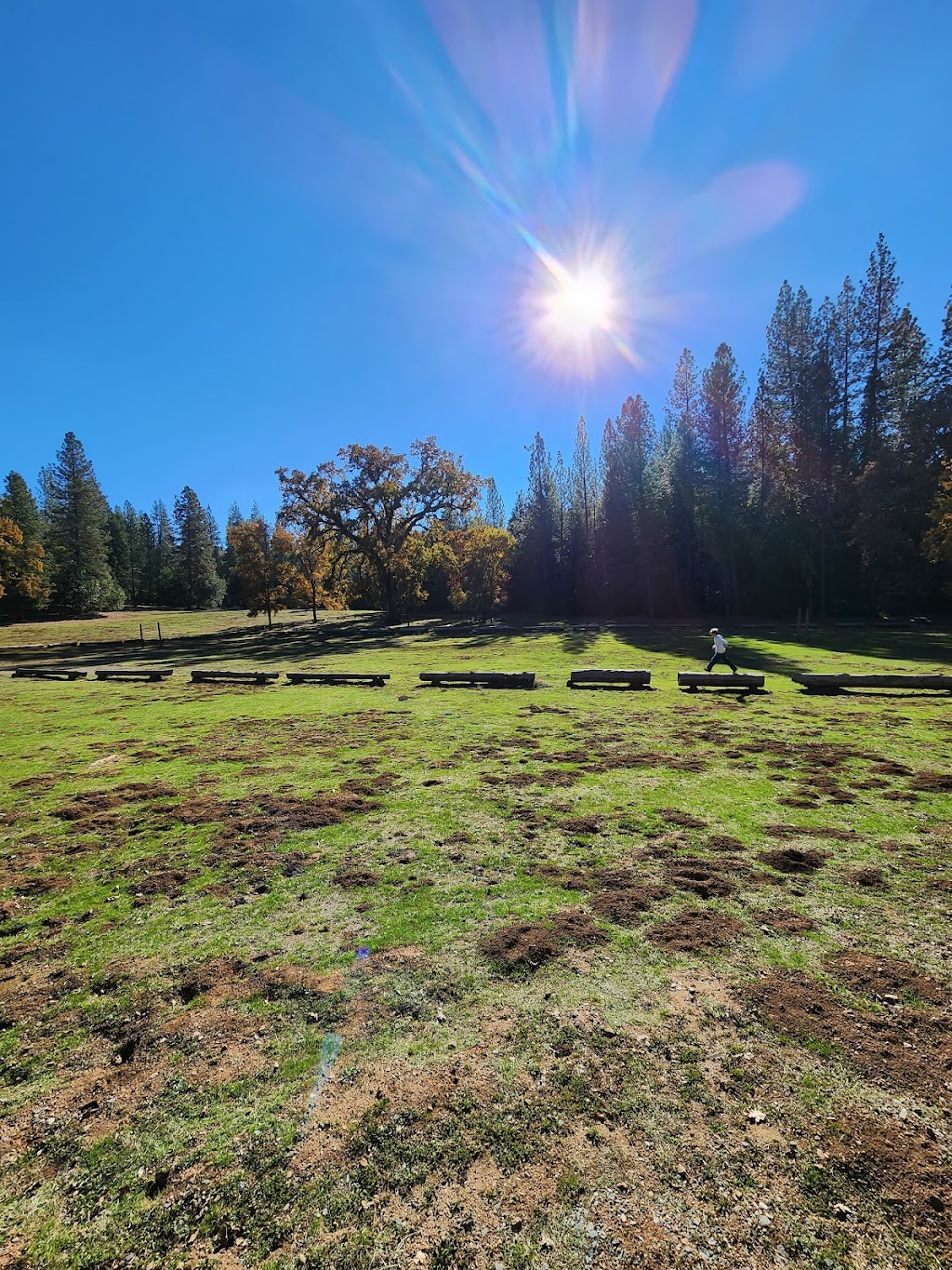 Indian Grinding Rock State Historic Park | 14881 Pine Grove Volcano Rd, Pine Grove, CA 95665, USA | Phone: (209) 296-7488