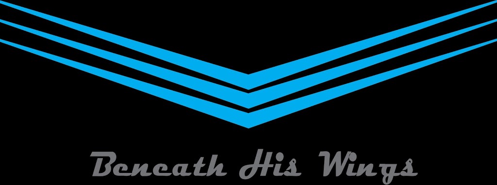 Beneath His Wings LLC | 260 1st, Pinellas Ave S Suite 200-166, St. Petersburg, FL 33701, USA | Phone: (813) 563-2511