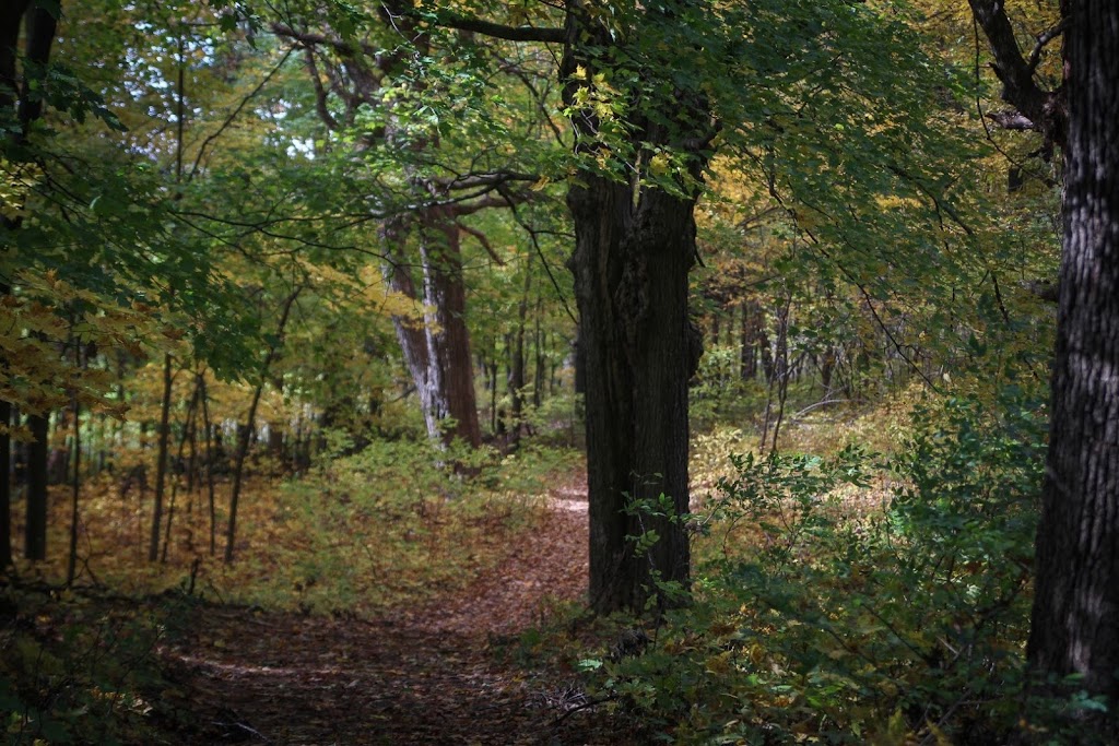 Freedom Valley Campground | 2168 250th Ave, Cushing, WI 54006, USA | Phone: (715) 327-3300