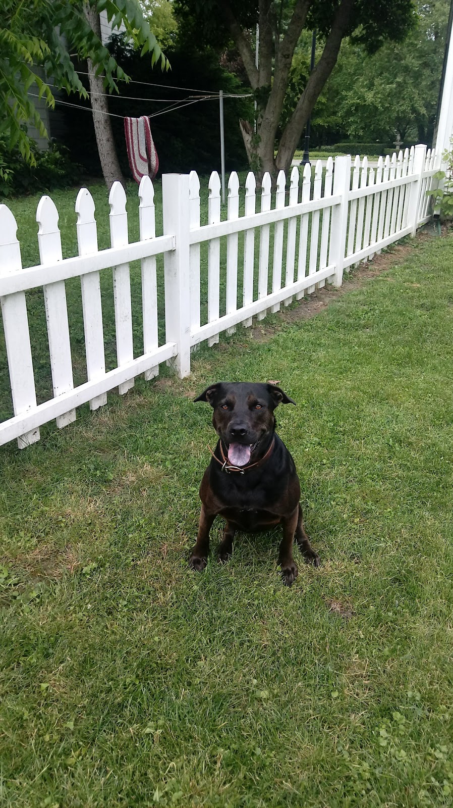 Connersville Veterinary Clinic | 808 E County Rd 250 S, Connersville, IN 47331, USA | Phone: (765) 825-9620