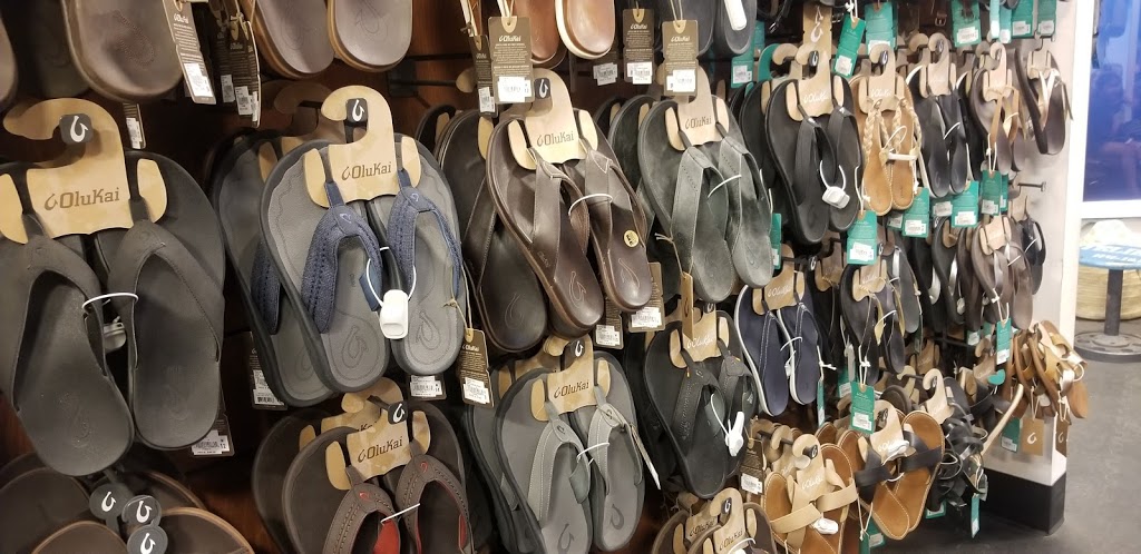 Sun Diego Boardshop | 3126 Mission Blvd, San Diego, CA 92109, USA | Phone: (858) 866-0108