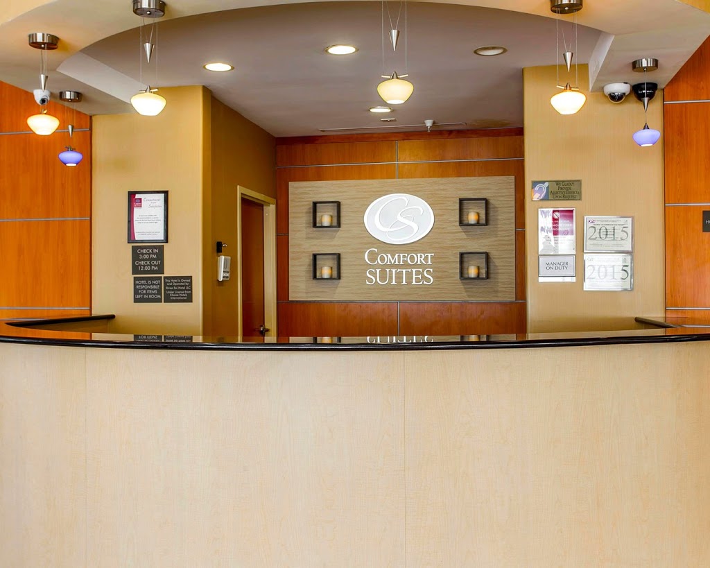 Comfort Suites Stockbridge Atlanta South | 3540 Cameron Pkwy, Stockbridge, GA 30281, USA | Phone: (678) 392-1343