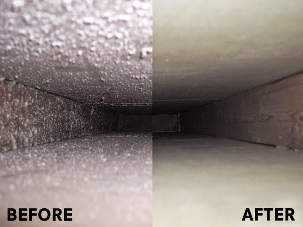 The Green Team Carpet & Air Duct Cleaning | 8407 Yukon Cir N, Champlin, MN 55316, USA | Phone: (763) 772-7550