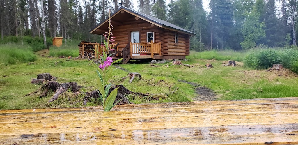 Dolly Varden Lake Campground | Dolly Varden Lake Rd, Kenai, AK 99672, USA | Phone: (907) 262-7021