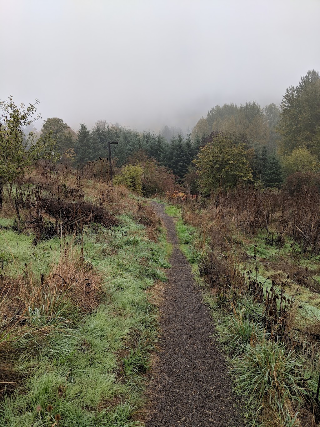 Dharma Rain Zen Center | 8500 NE Siskiyou St, Portland, OR 97220, USA | Phone: (503) 239-4846