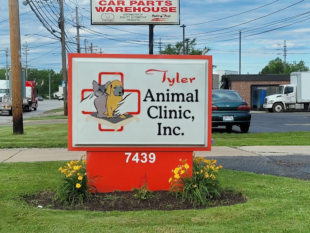 Tyler Animal Clinic | 7439 Tyler Blvd, Mentor, OH 44060, USA | Phone: (440) 953-1730