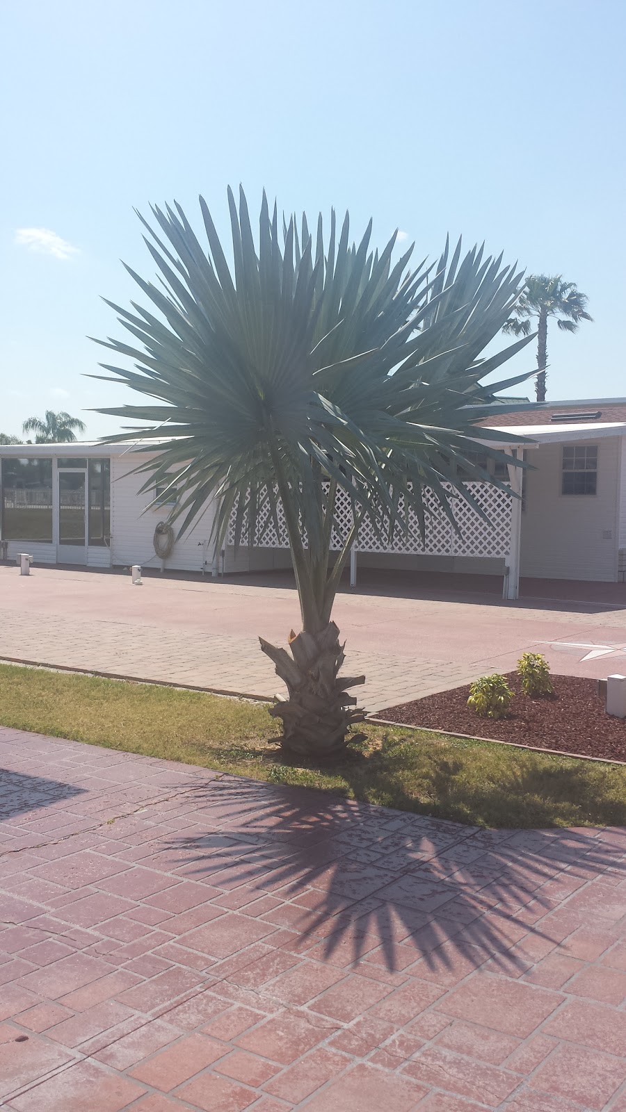 Emerald Pointe RV Resort | 39602 Amethyst Way, Zephyrhills, FL 33540, USA | Phone: (813) 782-0545