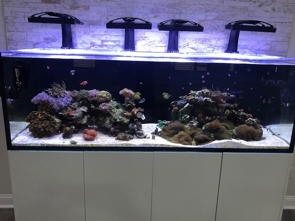 World Wide Corals | 5402 Central Florida Pkwy, Orlando, FL 32821, USA | Phone: (407) 856-2066