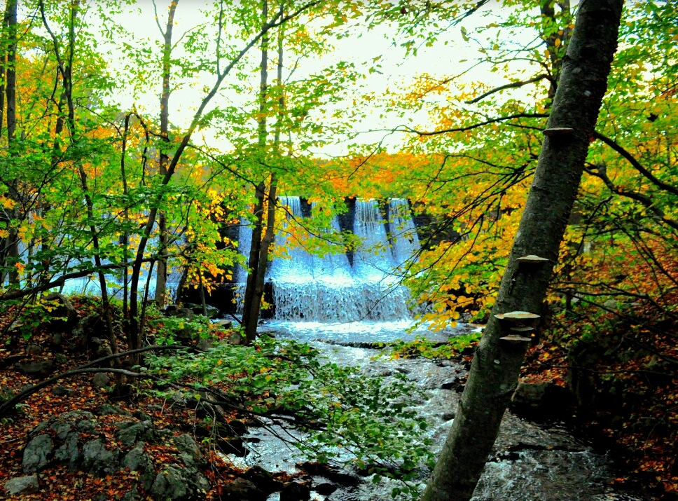 Cascade Lake Park | Cascade Lake Rd, Warwick, NY 10990, USA | Phone: (845) 986-1124