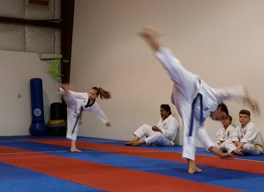 World Class Taekwondo Canby | 24400 OR-99E, Canby, OR 97013 | Phone: (503) 266-9000