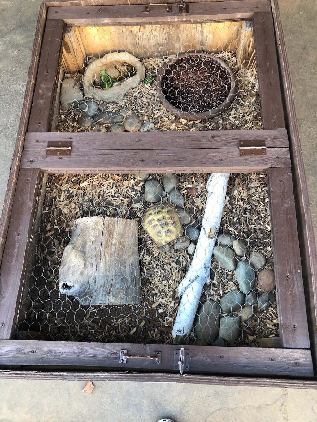 Play-ology Preschool & Playschool | 3084 Sunrise Blvd #4, Rancho Cordova, CA 95742, USA | Phone: (916) 853-5678