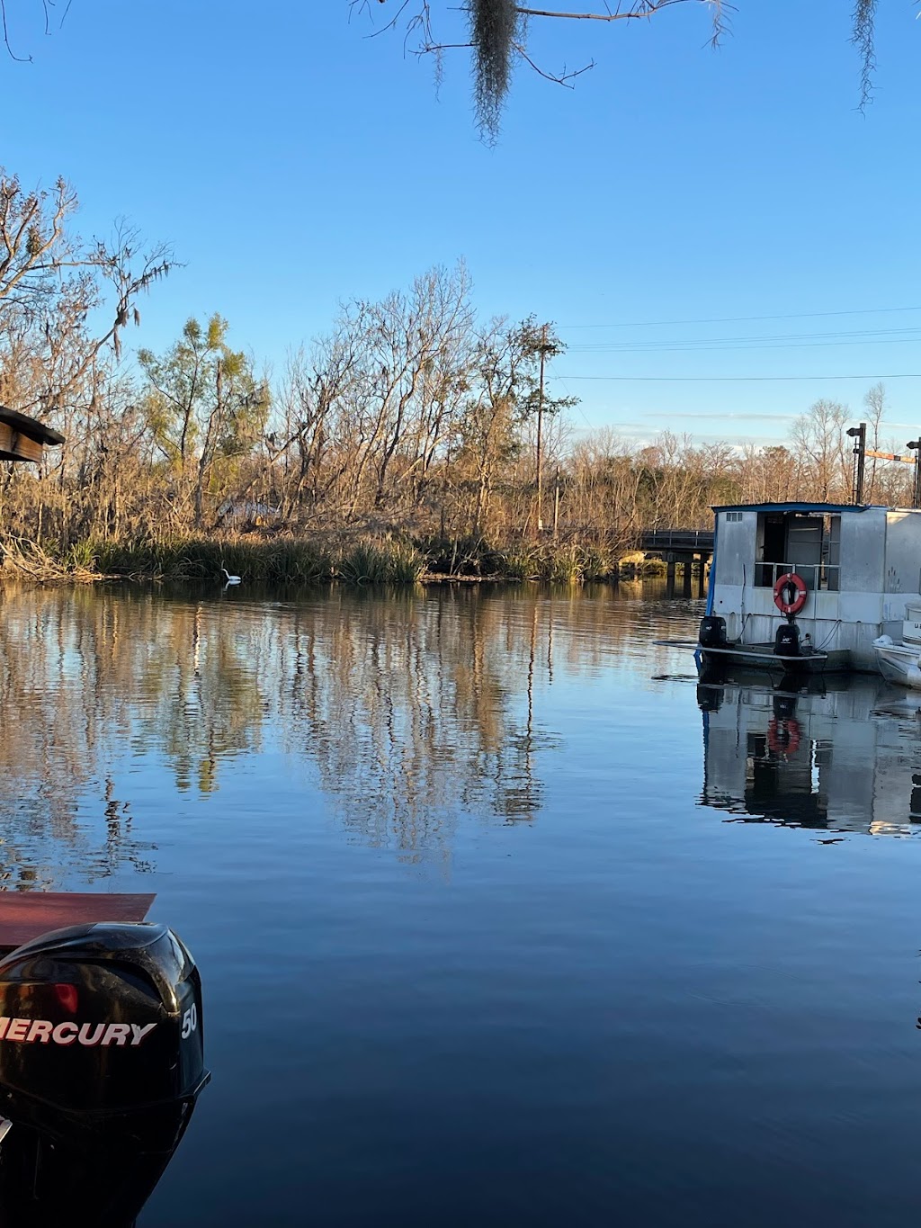 Zams Swamp Tour | 141 Kraemer Bayou Rd, Thibodaux, LA 70301, USA | Phone: (985) 633-7881