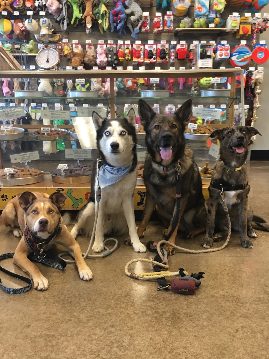 Chuck & Dons Pet Food & Supplies | 5926 S Holly St, Greenwood Village, CO 80111, USA | Phone: (303) 290-0430