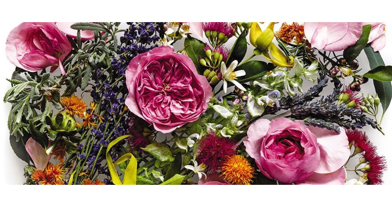 sage salon, an AVEDA concept salon | 7848 Land O Lakes Blvd, Land O Lakes, FL 34638, USA | Phone: (813) 235-6419