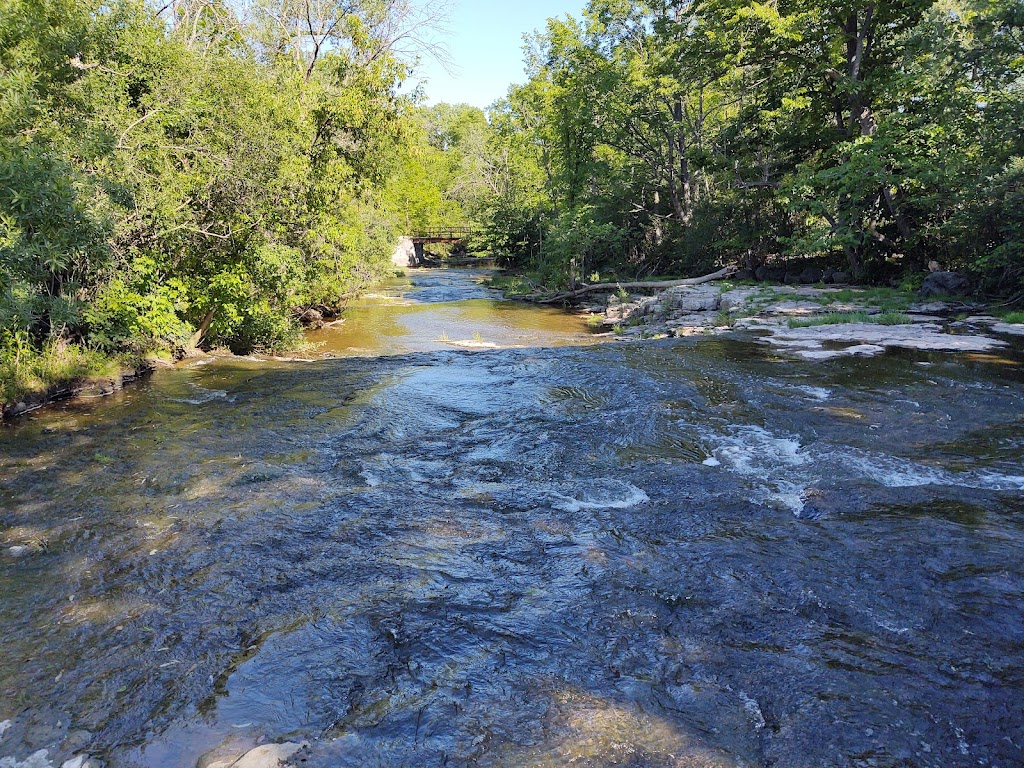 Sauk Creek Nature Preserve | 3236 Co Rd KK, Port Washington, WI 53070, USA | Phone: (262) 338-1794