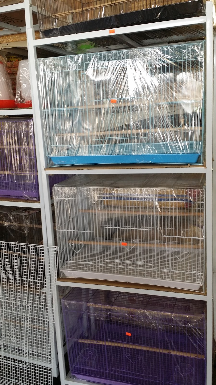 Villas Pet Shop | 10508 E Garvey Ave, El Monte, CA 91733, USA | Phone: (323) 482-6278