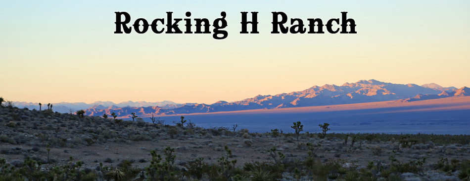 Rocking H Ranch | 14050 Kyle Canyon Rd, Las Vegas, NV 89166, USA | Phone: (702) 400-5629