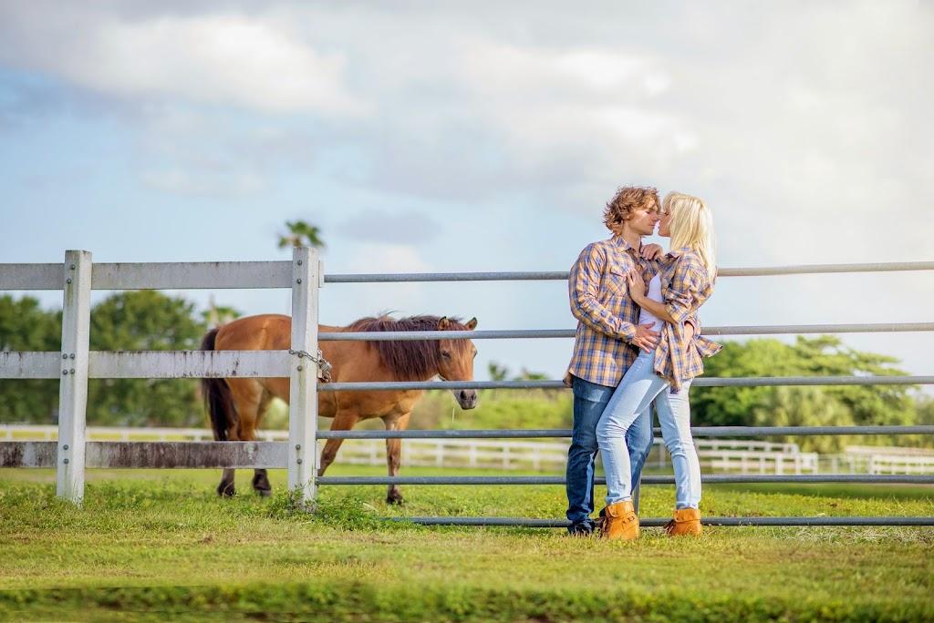 Bullet Blues | 11733 Highland Pl, Coral Springs, FL 33071, USA | Phone: (954) 235-9098