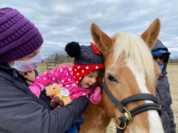 A Horse Connection - Equine Assisted Occupational Therapy | 4647 Massey Rd, Zebulon, NC 27597, USA | Phone: (845) 417-4646