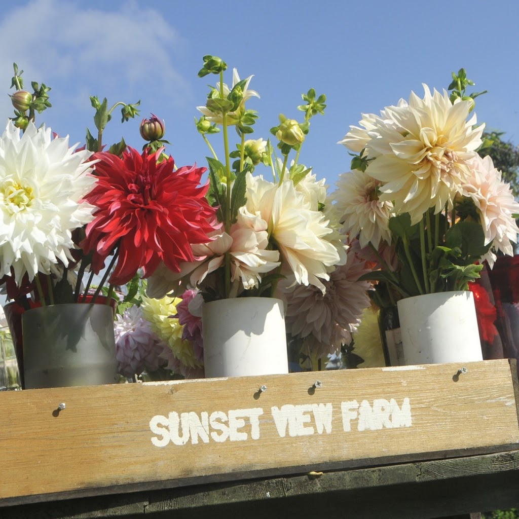 Flower Stand at Sunset View Farm | 27 Pierce Rd, Lafayette, NJ 07848, USA | Phone: (973) 579-7382