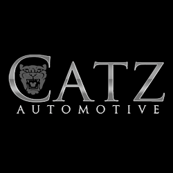 Catz Auto Restoration | 10178 Springfield Rd, Youngstown, OH 44514, USA | Phone: (330) 549-5646