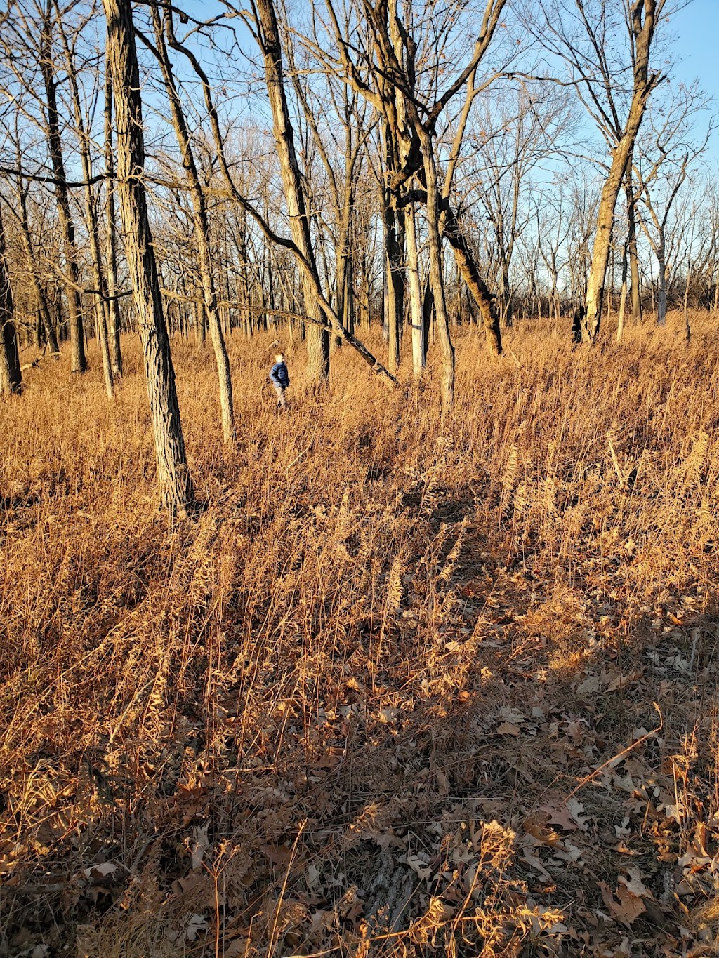 Somme Prairie Nature Preserve | 45R9+6P, Northbrook, IL 60062, USA | Phone: (800) 870-3666