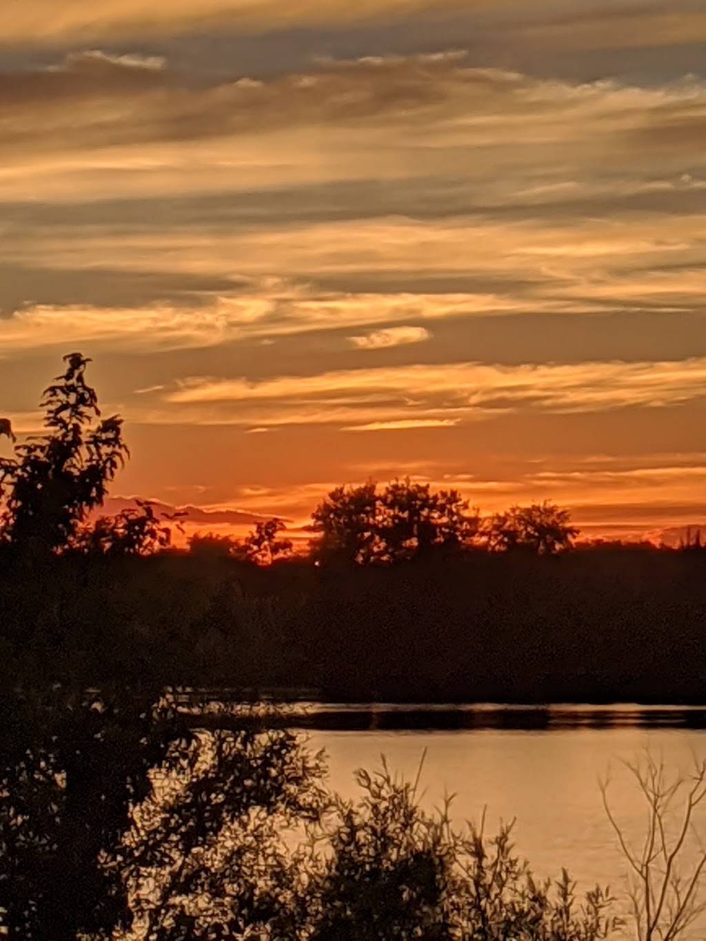 History of Jiujitsu | 4301 S Valley View Blvd #2, Las Vegas, NV 89103, USA | Phone: (917) 498-4604 History of Jiujitsu | 4301 S Valley View Blvd #2, Las Vegas, NV 89103, USA | Phone: (917) 498-4604
