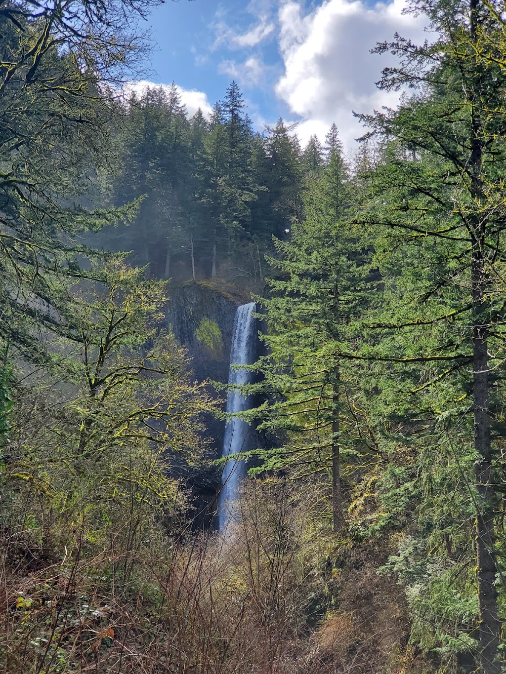 Latourell Falls Trailhead | Historic Columbia River Hwy, Corbett, OR 97019 | Phone: (503) 241-3762