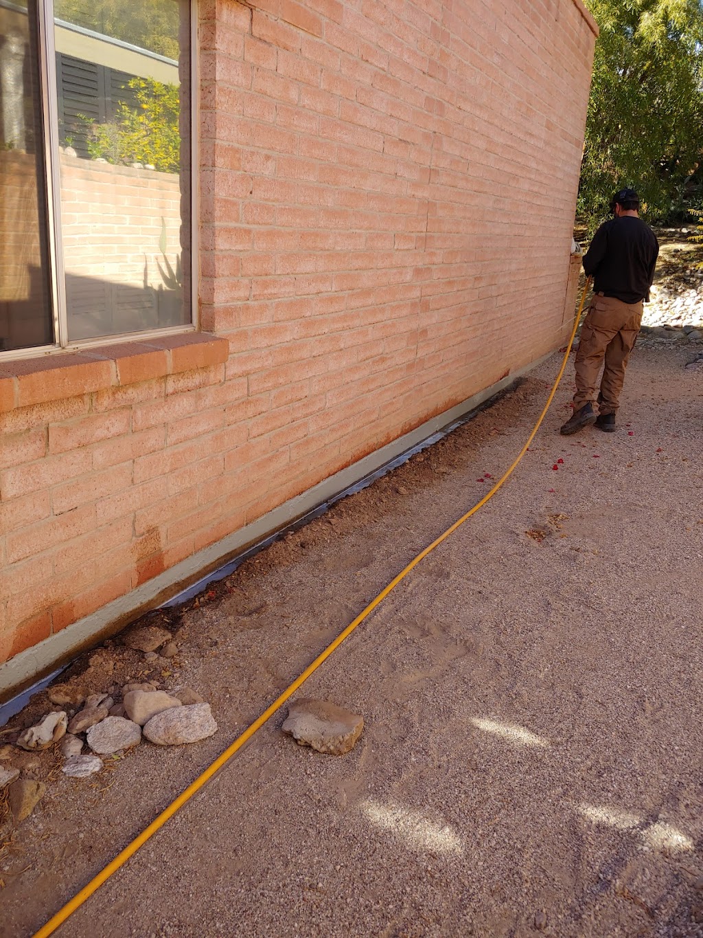 Phoenix Pest & Termite Control - 2911 N 26th Ave, Phoenix, AZ 85017 ...