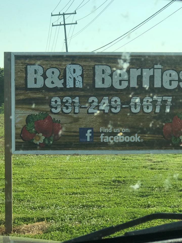 B & R Berries | 4025 Guthrie Hwy, Clarksville, TN 37040, USA | Phone: (931) 249-0677