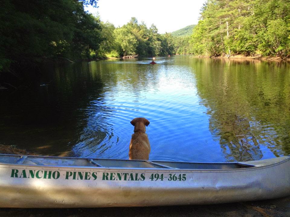 Rancho Pines Campground | 2854 Schroon River Rd, Chestertown, NY 12817, USA | Phone: (518) 494-3645