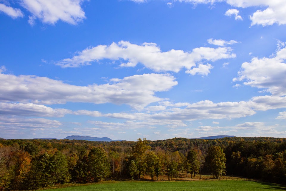 Lunas Trail Farm and Event Center | 1155 Wilson Farm Rd, Westfield, NC 27053, USA | Phone: (336) 351-2052