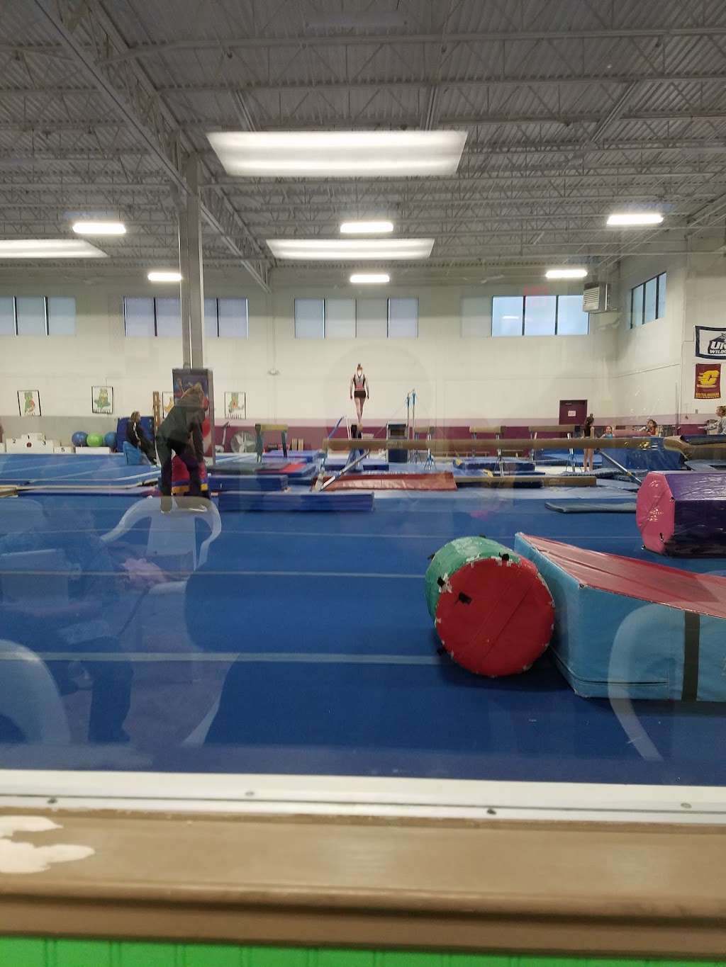 Arena Gymnastics Inc | 911 Hope St, Stamford, CT 06907, USA | Phone: (203) 357-8167