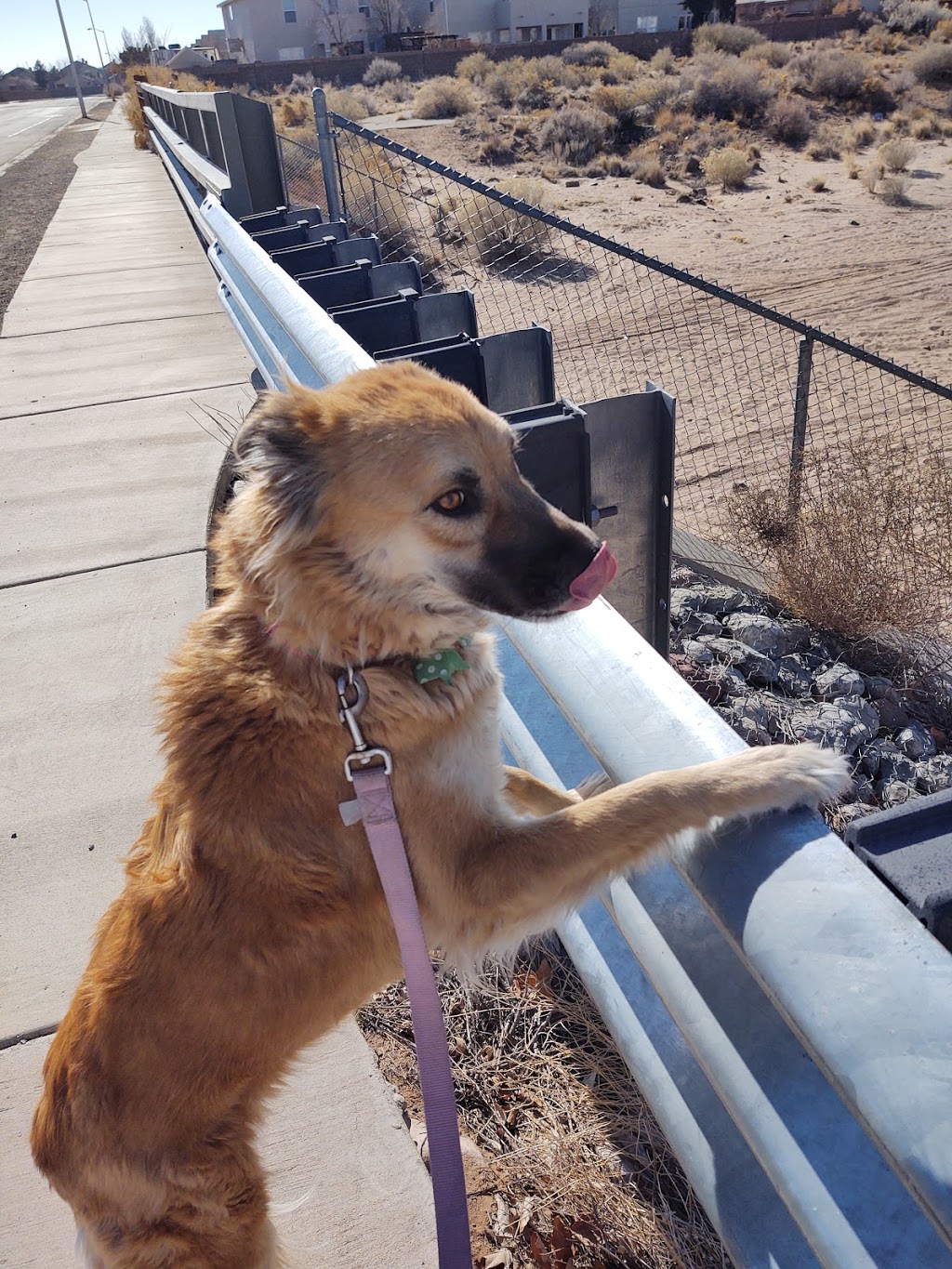 Camino De Los Montoyas Park | 3701 Cam De Los Montoyas, Rio Rancho, NM 87144, USA | Phone: (505) 891-5015