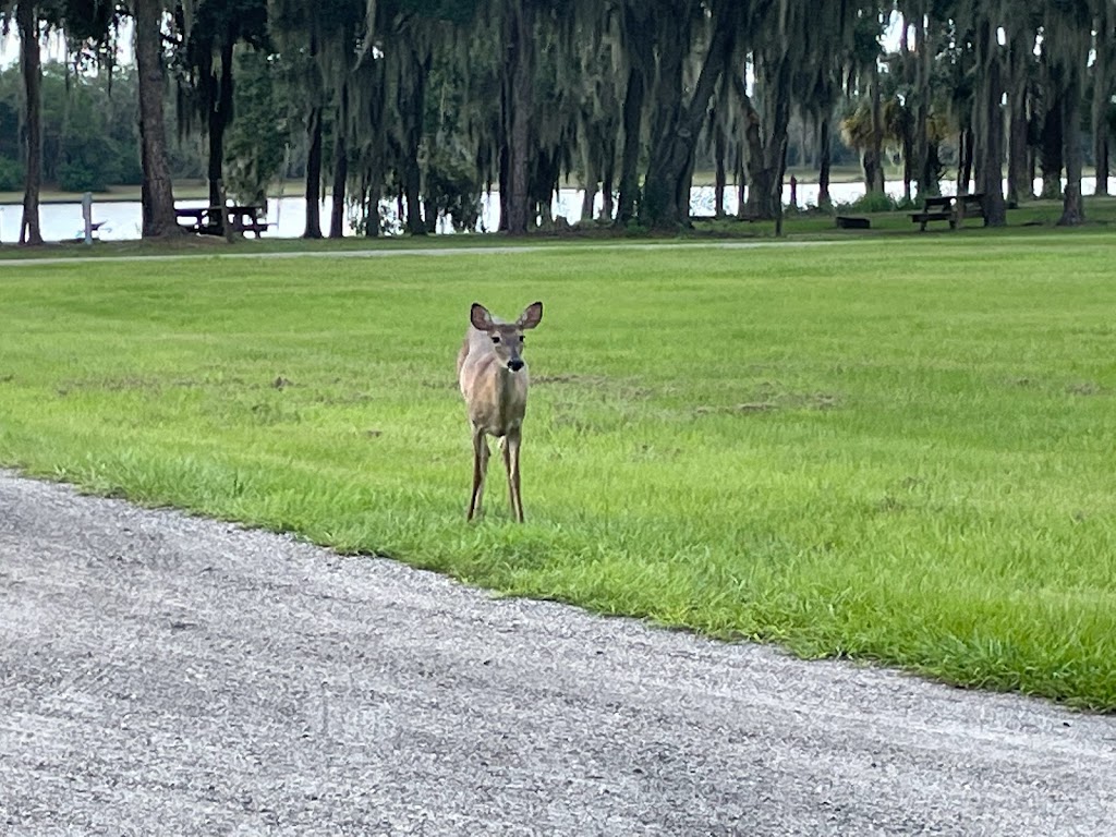 Hardee Lakes County Park | 8950 5502 Ollie Roberts Rd, Bowling Green, FL 33834 | Phone: (863) 767-1100