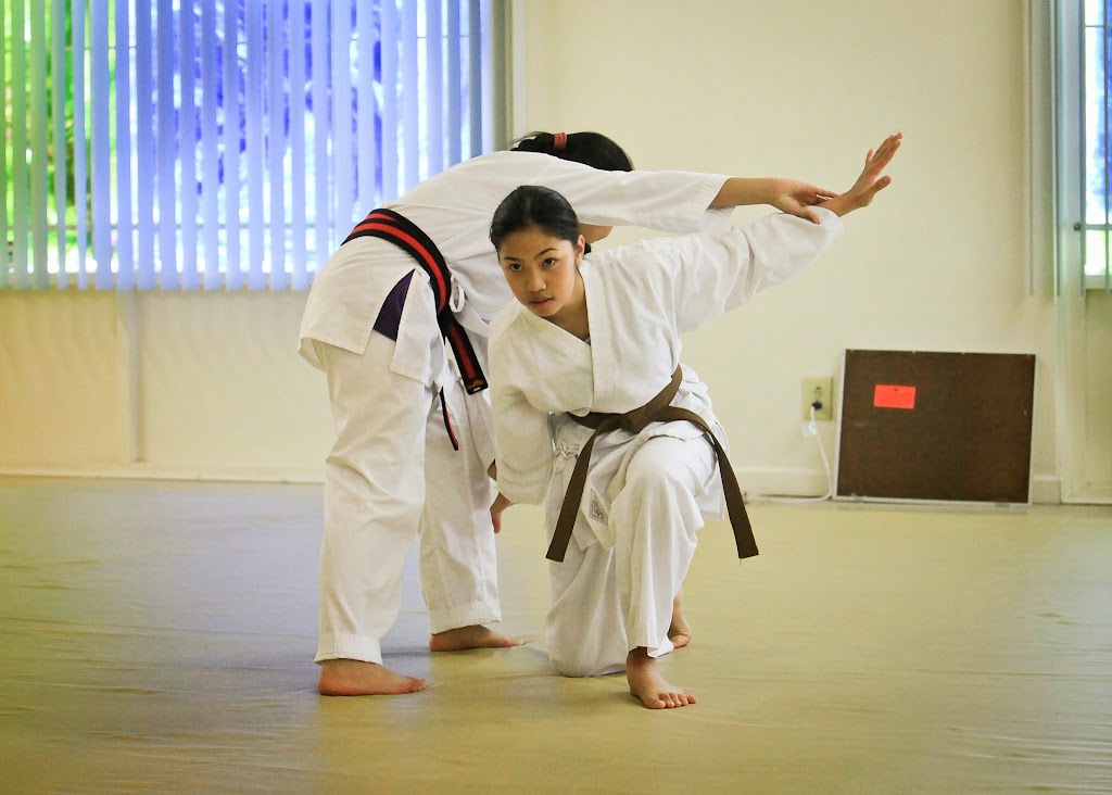 New School Aikido | 8807 Thornton Rd STE R3, Stockton, CA 95209 | Phone: (209) 462-8600