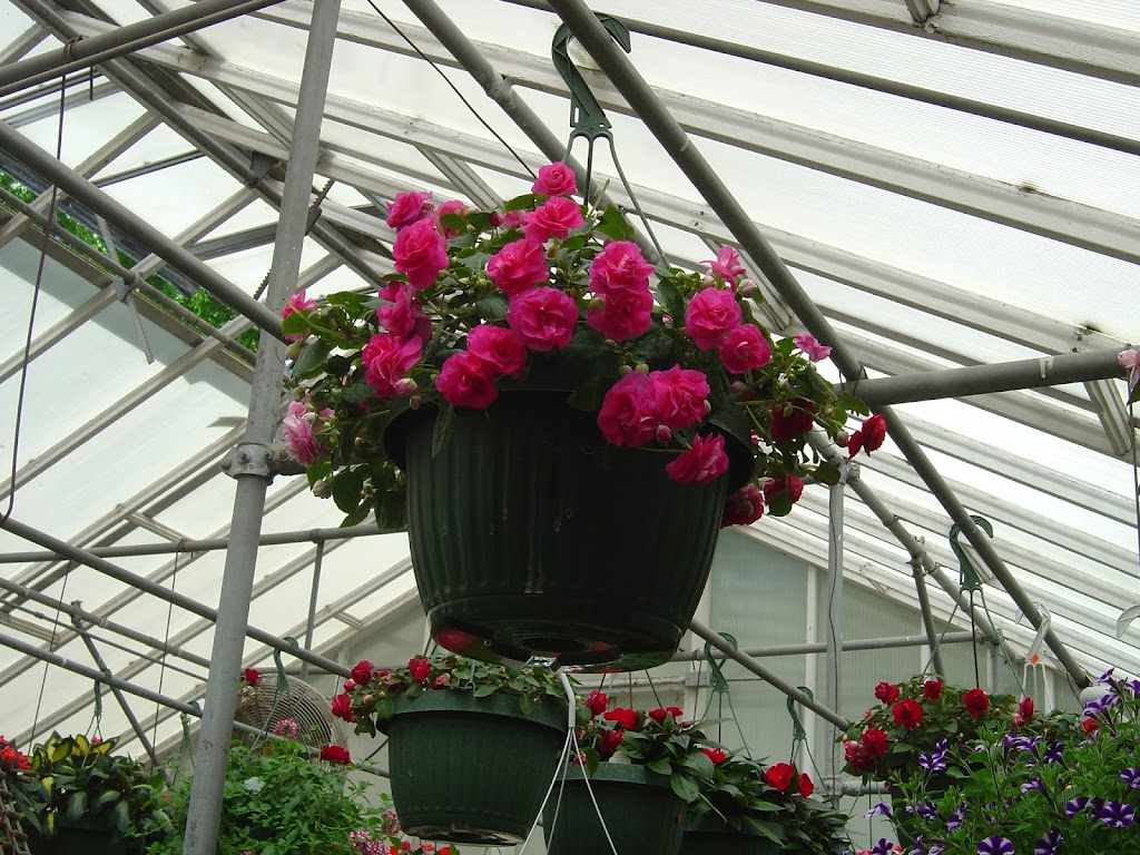 Dayton Flower & Garden Center | 4474 S Cleveland Massillon Rd, Norton, OH 44203, USA | Phone: (330) 825-4176