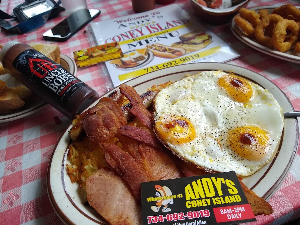 Andys Coney Island | 19458 Van Horn Rd, Woodhaven, MI 48183, USA | Phone: (734) 692-9019