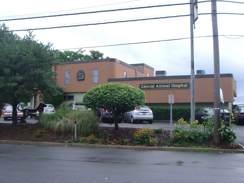 Central Animal Hospital | 317 Ardsley Rd, Scarsdale, NY 10583, USA | Phone: (914) 723-1250