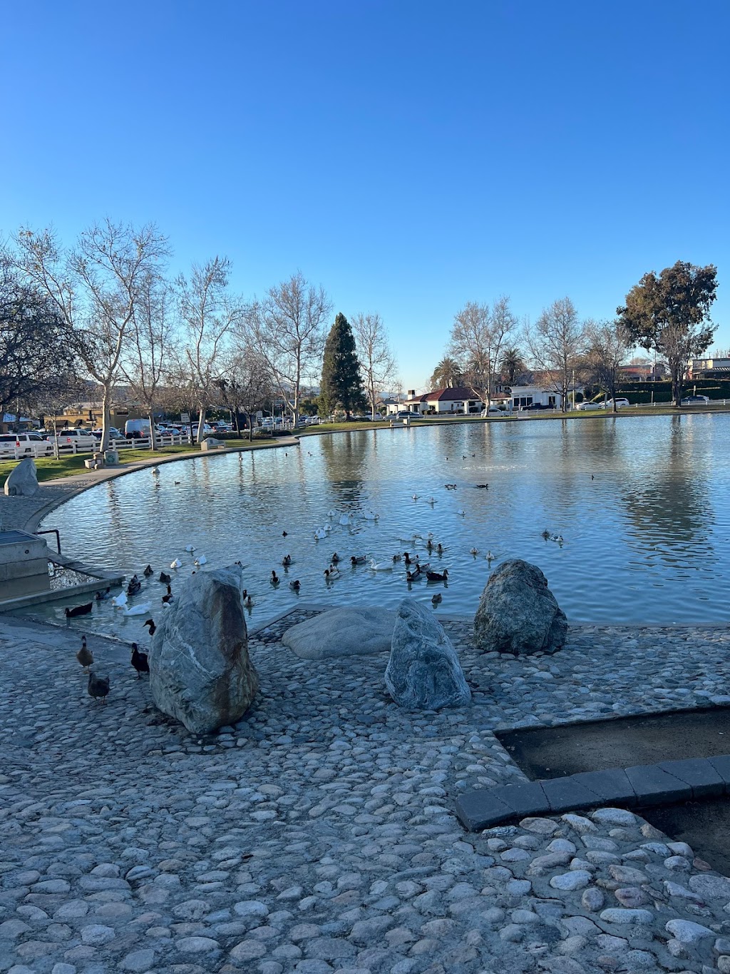 Temecula Duck Pond and park | 28250 Ynez Rd, Temecula, CA 92591, USA | Phone: (951) 694-6480