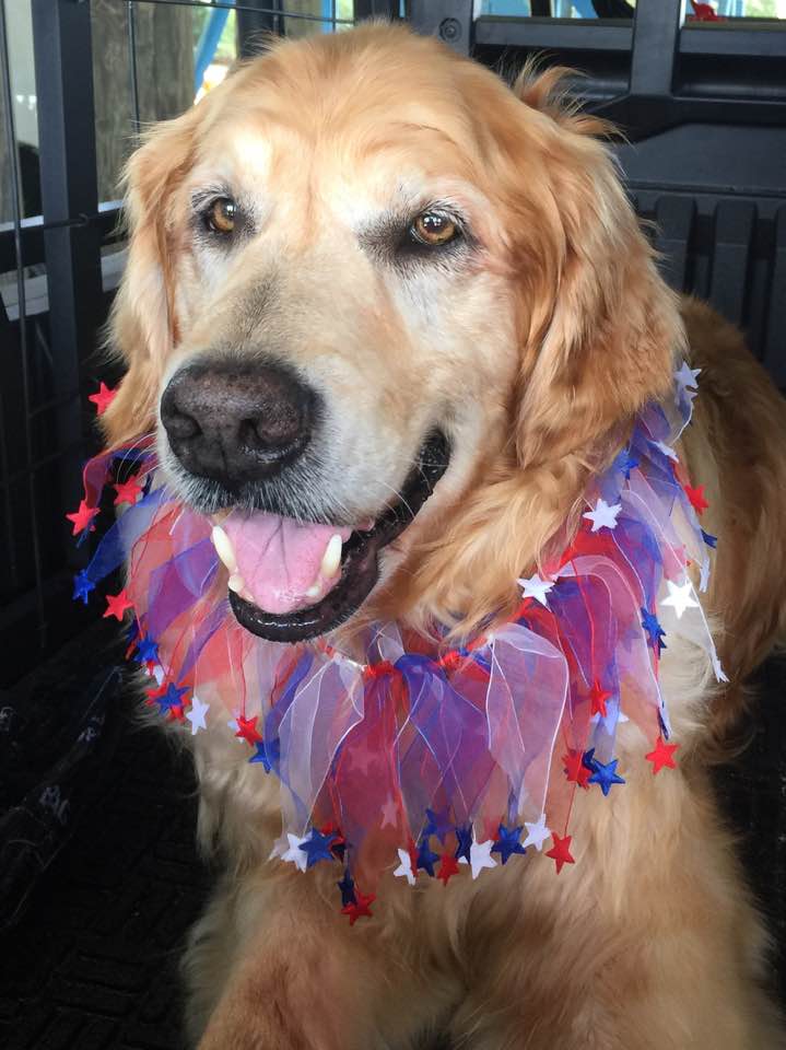 Union Hill Animal Hospital | 2853 Lower Union Hill Rd, Canton, GA 30115, USA | Phone: (770) 664-8380