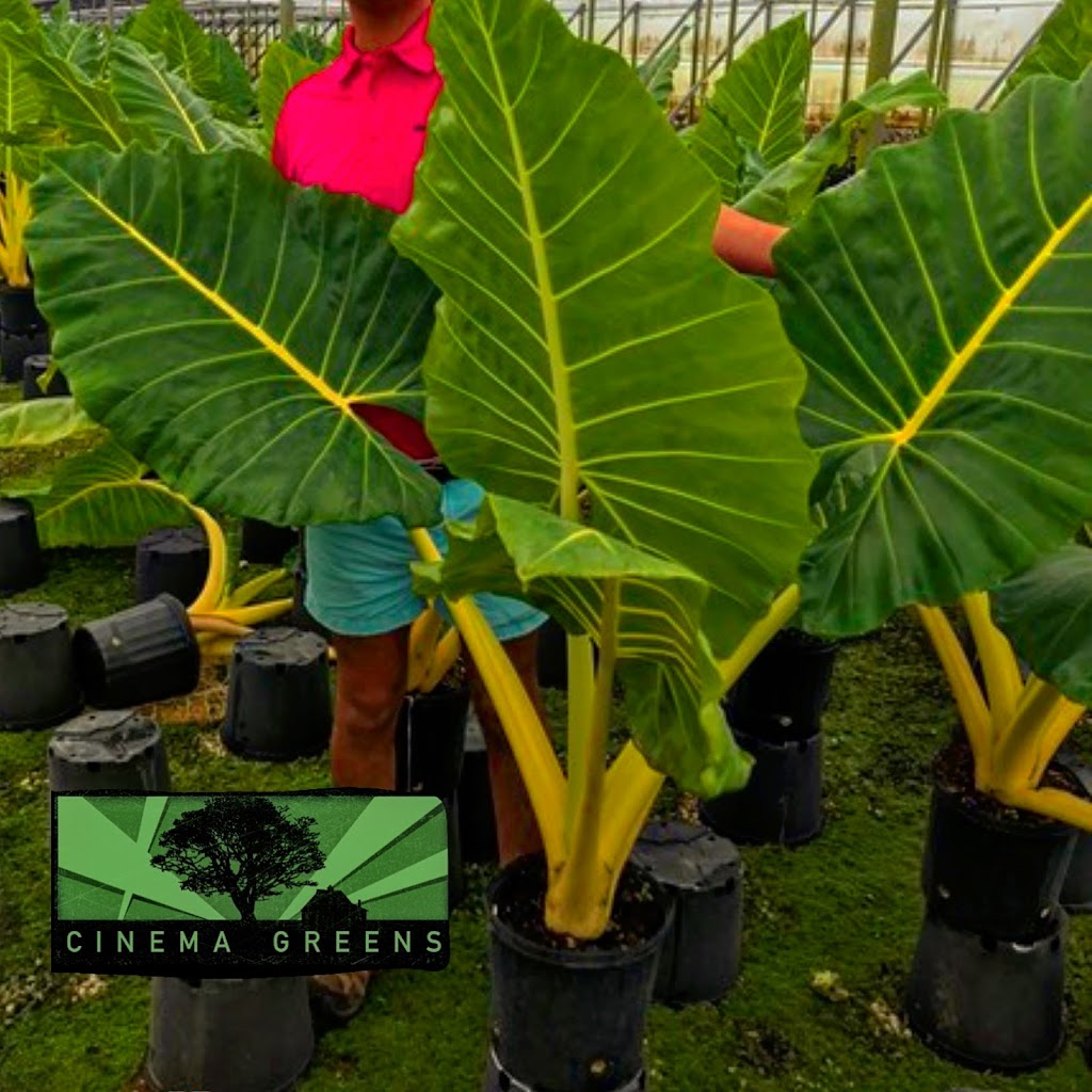 Cinema Greens | 1557 St Joseph Ave, East Point, GA 30344, USA | Phone: (888) 215-0531
